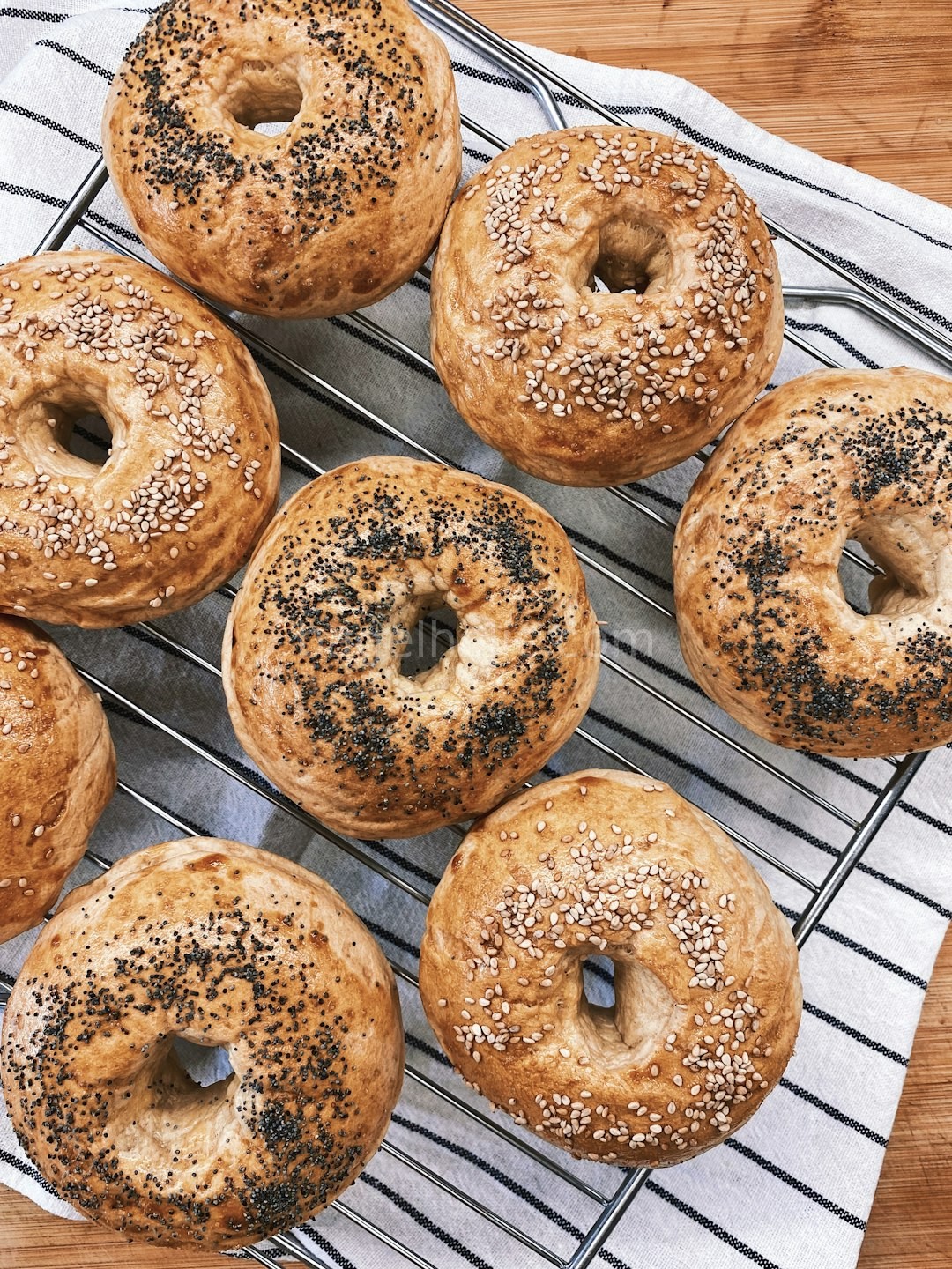 Bagel Reel 1